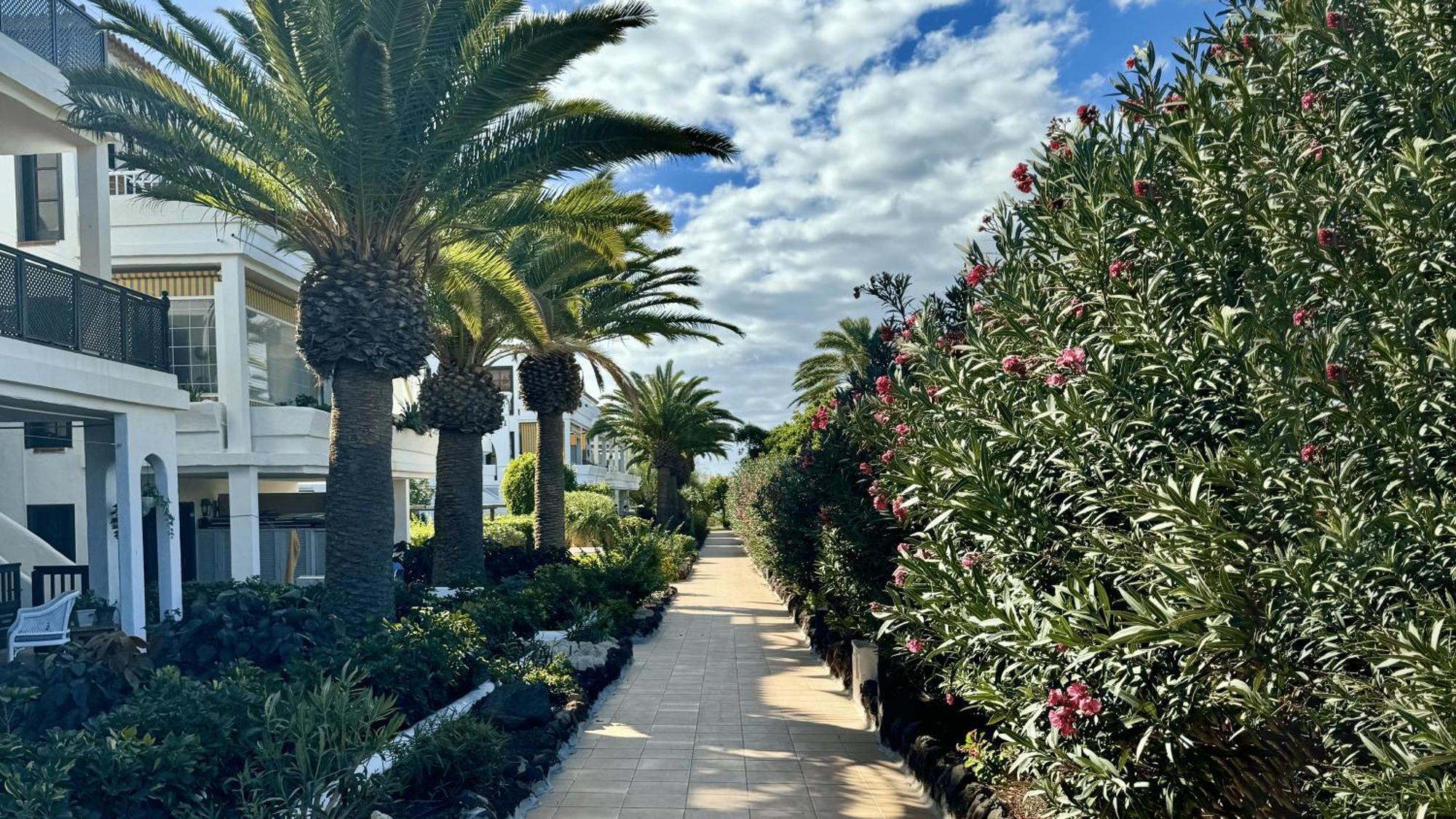 Serena Vista Golf 791 - Appartamento Confortevole A Amarilla Golf San Miguel de Abona Kültér fotó